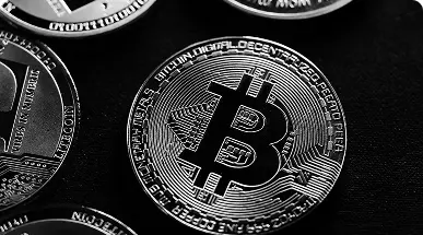 prevod digitálnej meny na euro